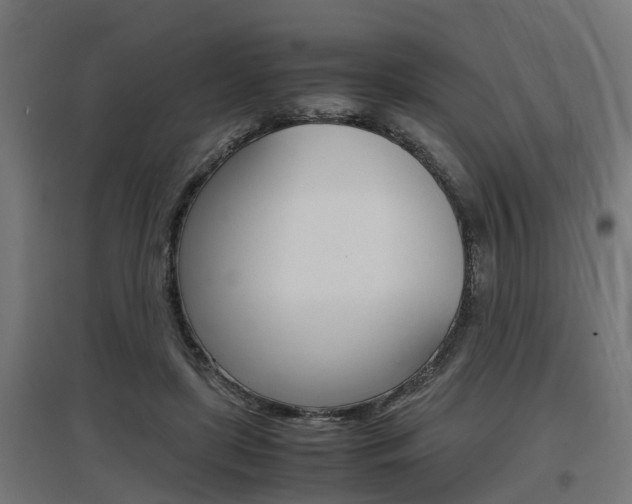 X0000097660451200802290926