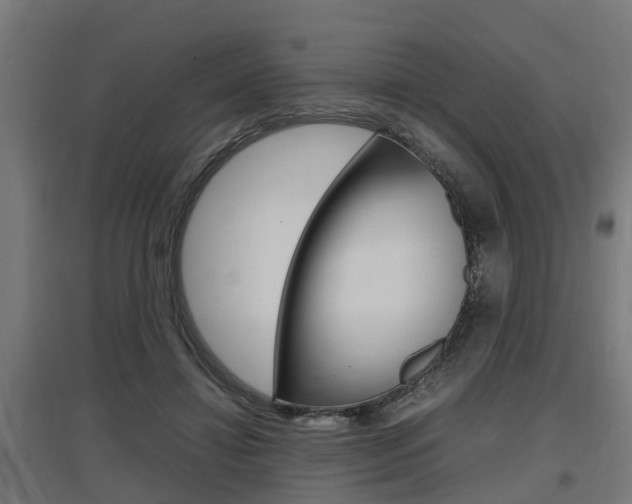 X0000097660452200802290926
