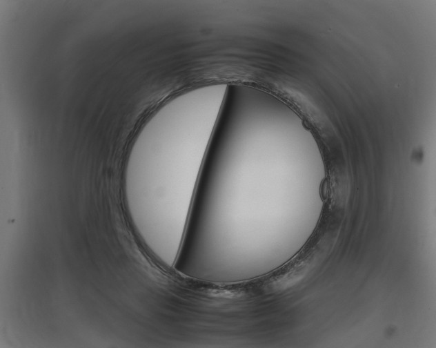 X0000097660453200802290926