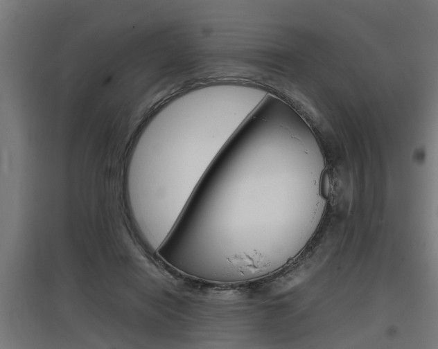 X0000097660454200802290926