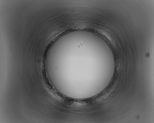X0000097660455200802290926