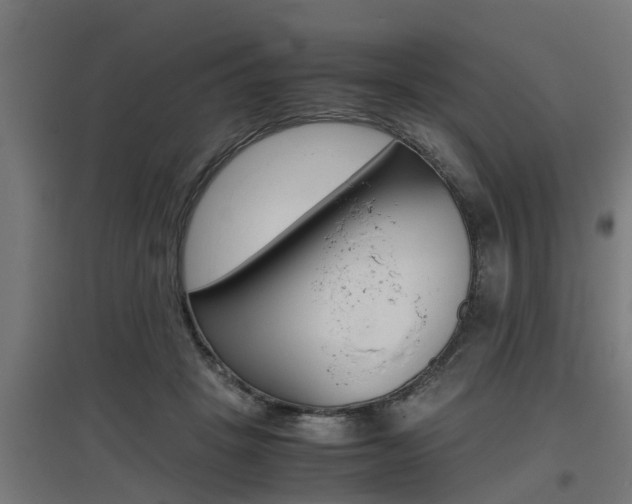 X0000097660457200802290926
