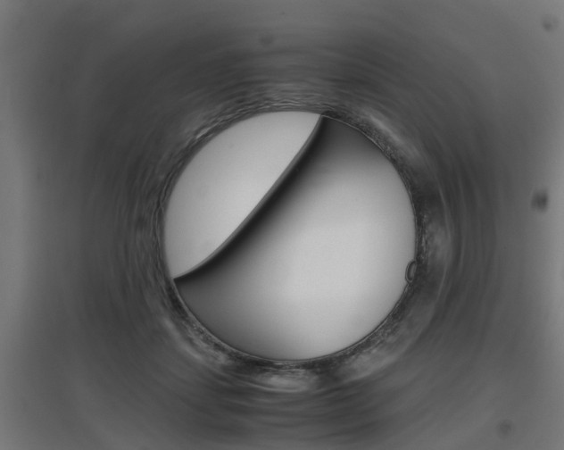 X0000097660459200802290926
