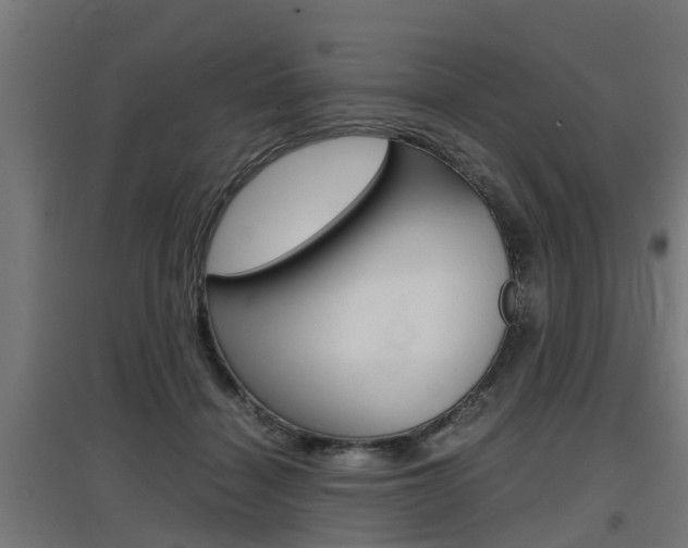 X0000097660460200802290926