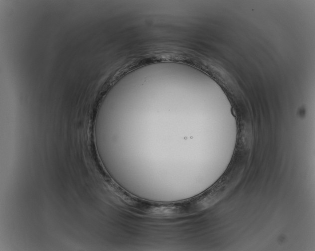 X0000097660461200802290926