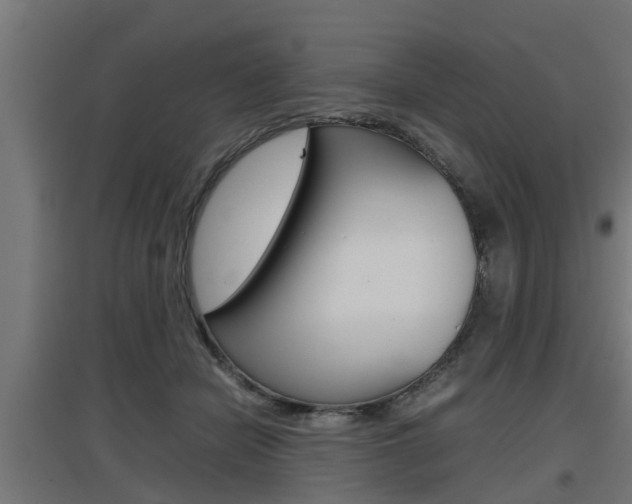 X0000097660462200802290926