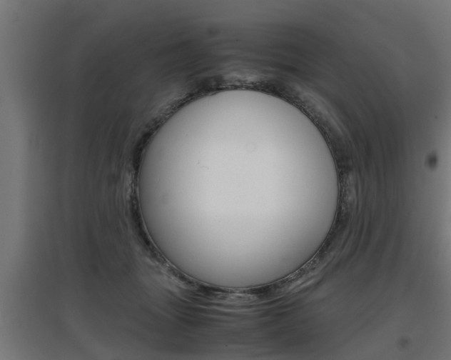 X0000097660463200802290926