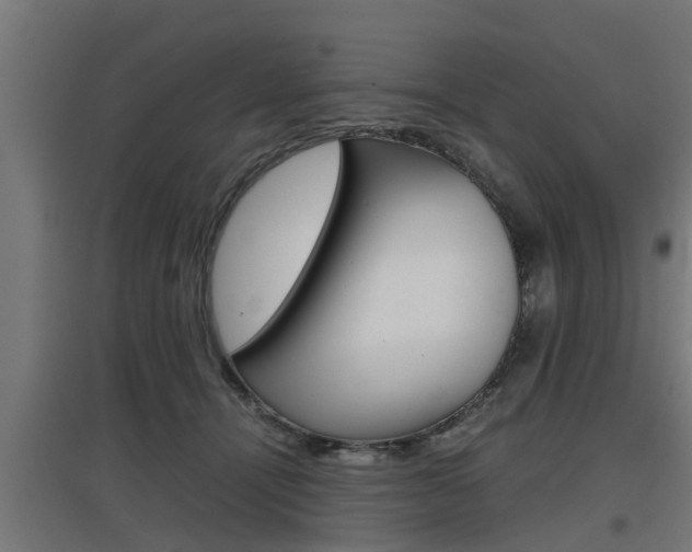 X0000097660464200802290926