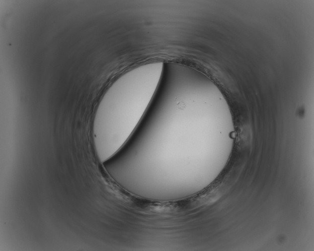 X0000097660466200802290926