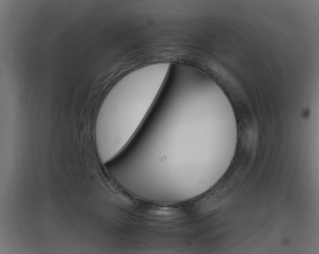 X0000097660467200802290926