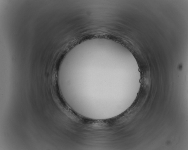 X0000097660468200802290926