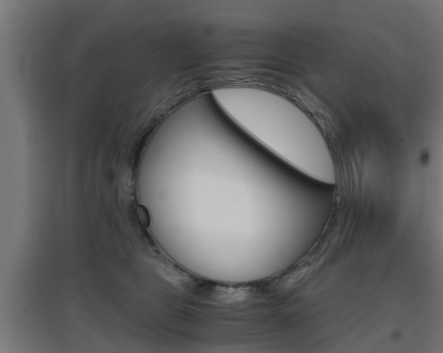 X0000097660469200802290926