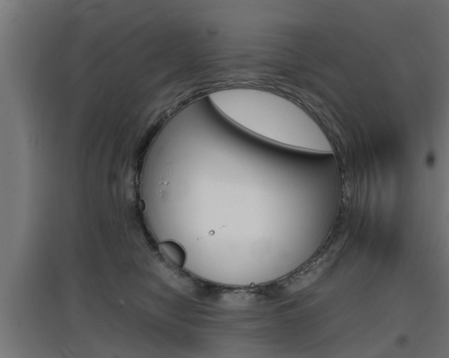 X0000097660470200802290926