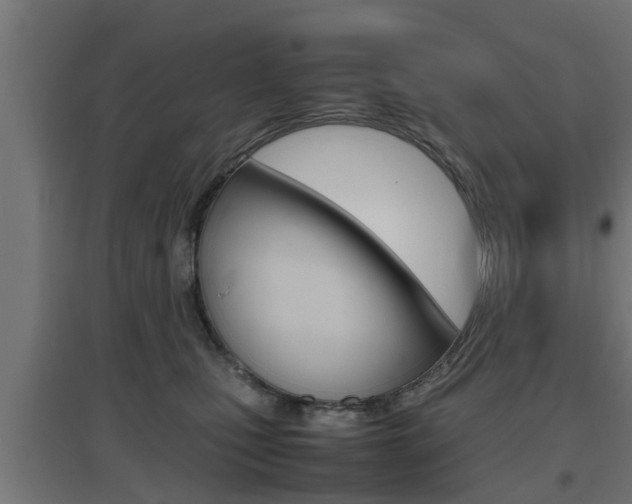 X0000097660471200802290926