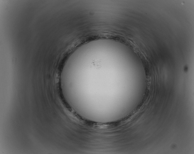 X0000097660472200802290926