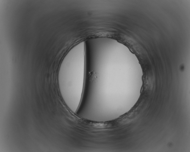 X0000097660473200802290926