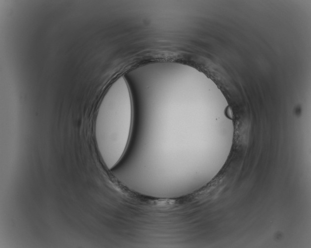 X0000097660474200802290926