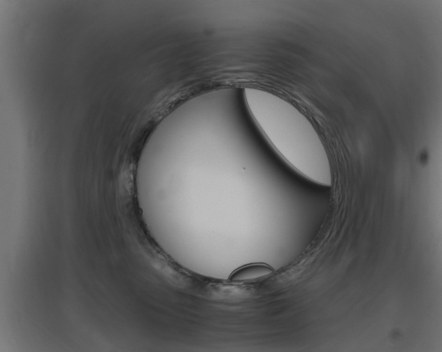 X0000097660475200802290926