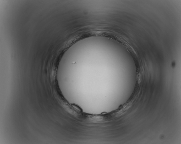 X0000097660476200802290926