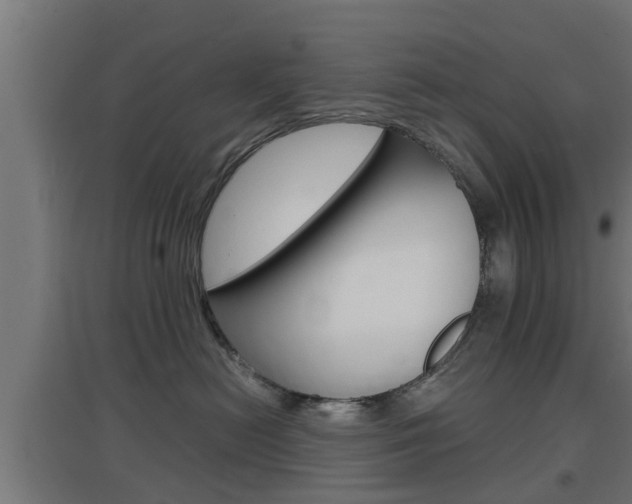 X0000097660478200802290926