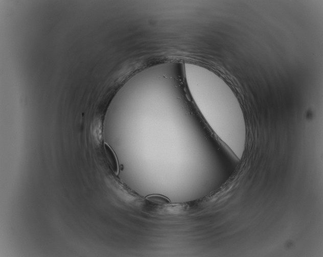 X0000097660479200802290926