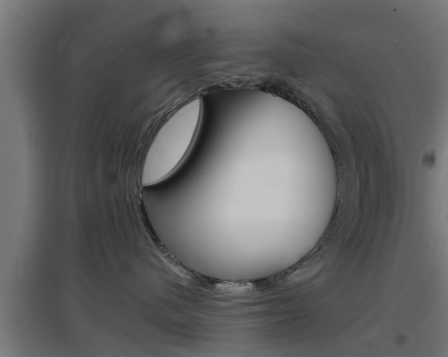 X0000097660480200802290926