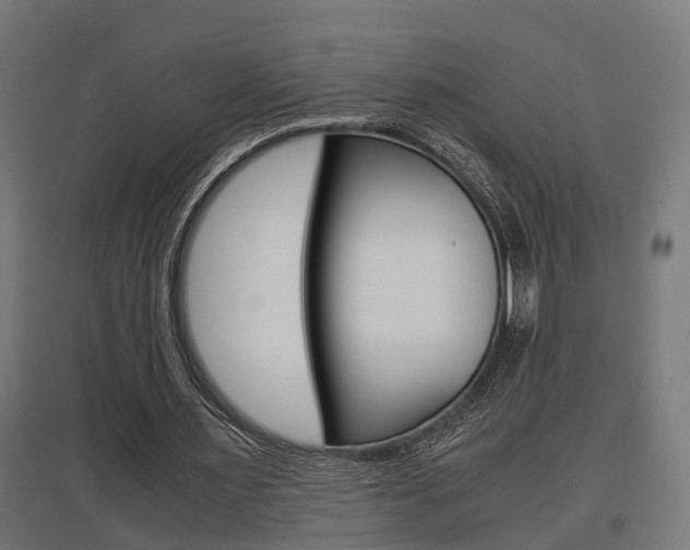 X0000097660483200802290925