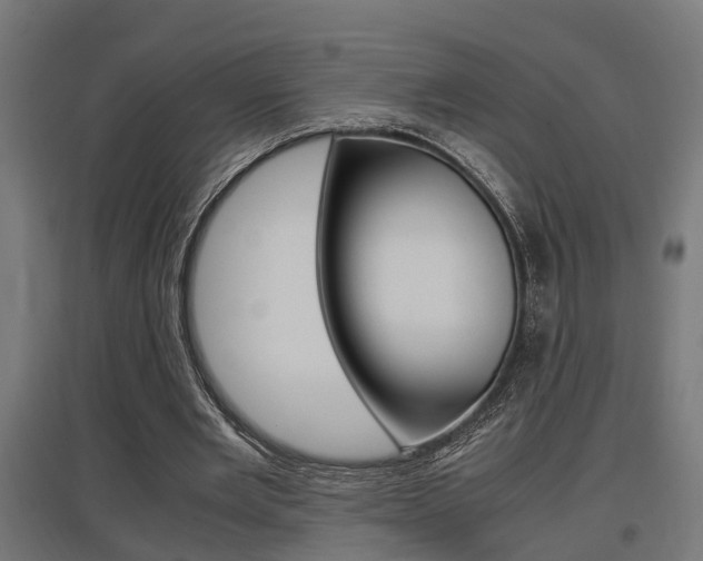 X0000097660485200802290925