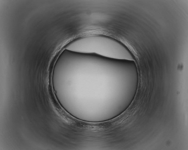 X0000097660486200802290925