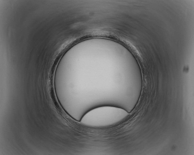 X0000097660487200802290925