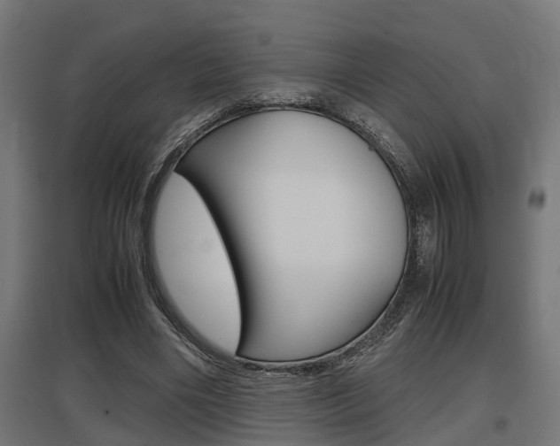 X0000097660490200802290925