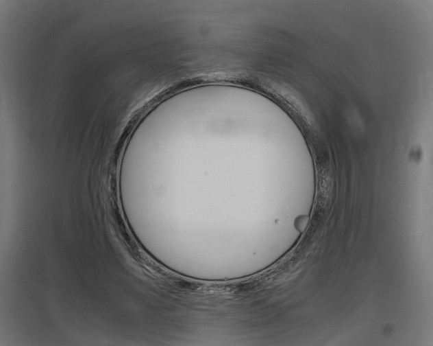 X0000097660491200802290925