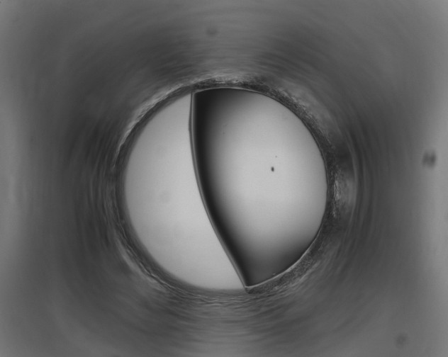 X0000097660492200802290925