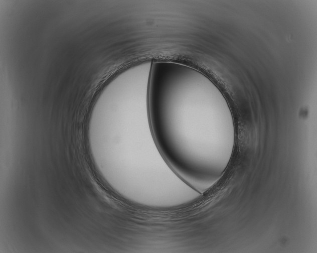 X0000097660493200802290925