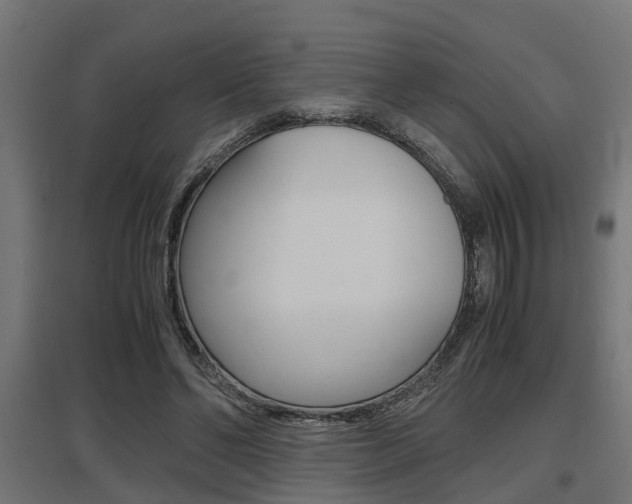 X0000097660494200802290925
