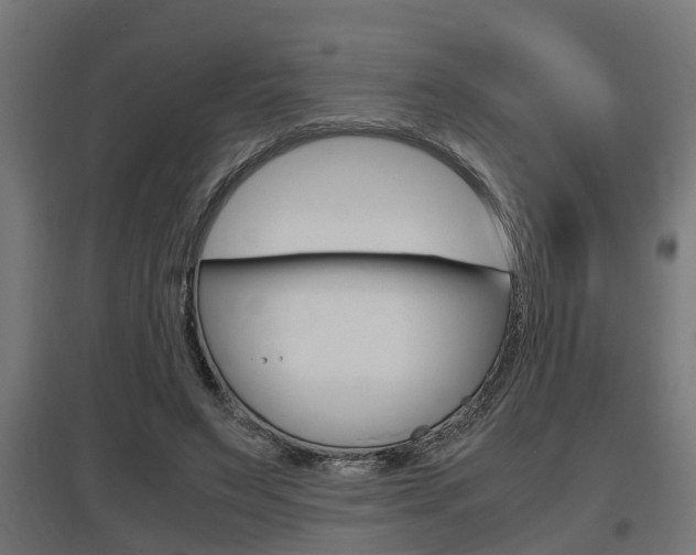X0000097660495200802290925