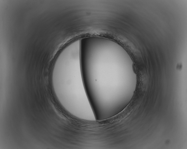 X0000097660496200802290925