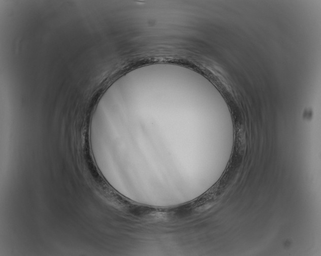 X0000097660499200802290925