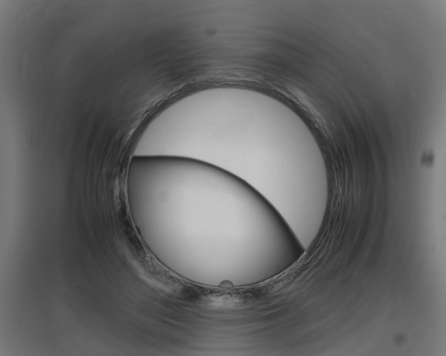 X0000097660500200802290925