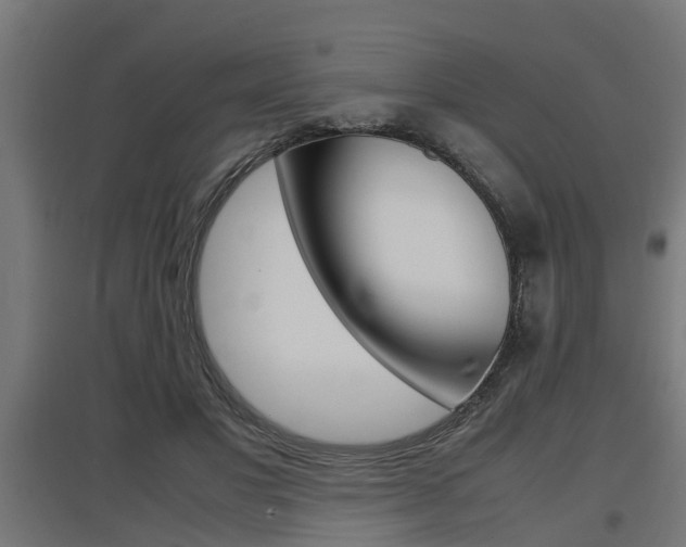 X0000097660501200802290925