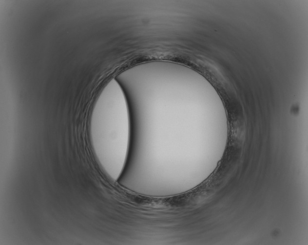 X0000097660503200802290925