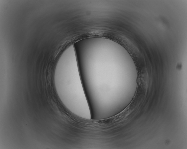 X0000097660504200802290925