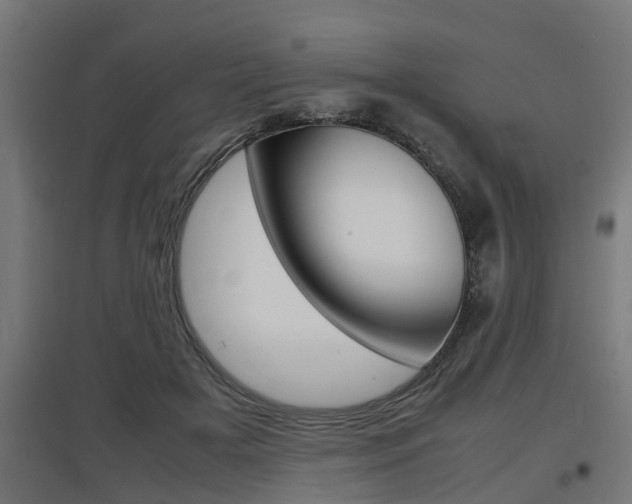 X0000097660505200802290925