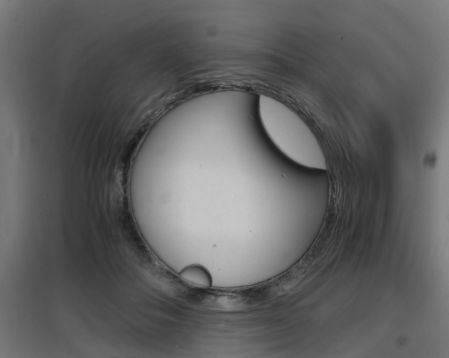 X0000097660506200802290925