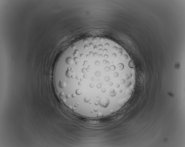 X0000097660507200802290925