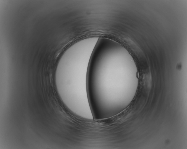 X0000097660508200802290925