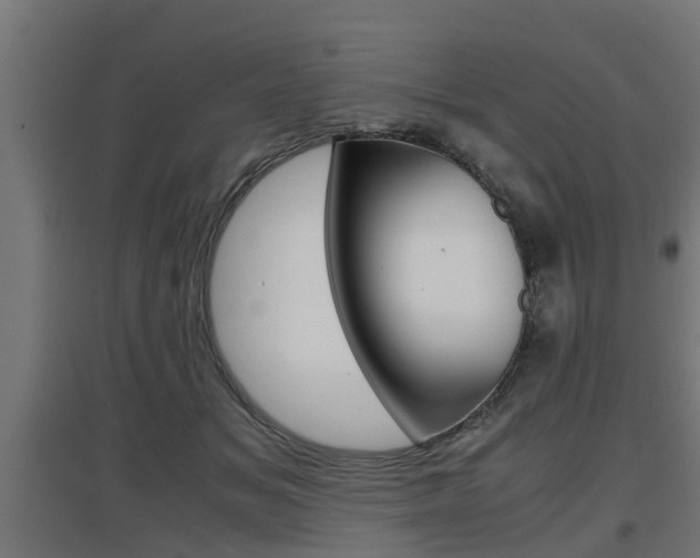 X0000097660509200802290925
