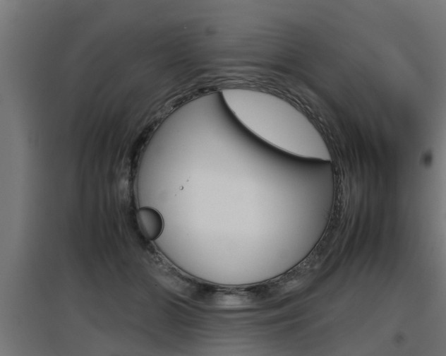 X0000097660510200802290925