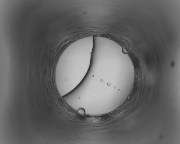 X0000097660511200802290925