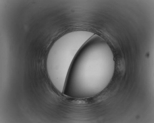 X0000097660512200802290925
